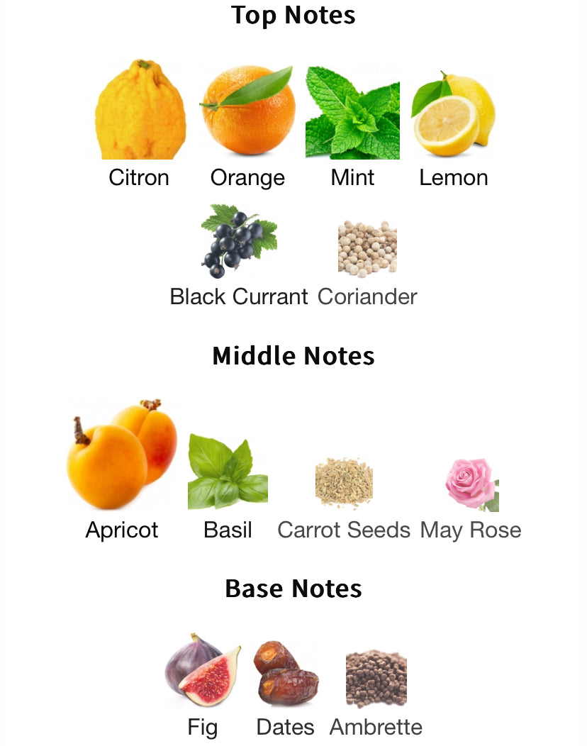 Louis Vuitton Pacific Chill