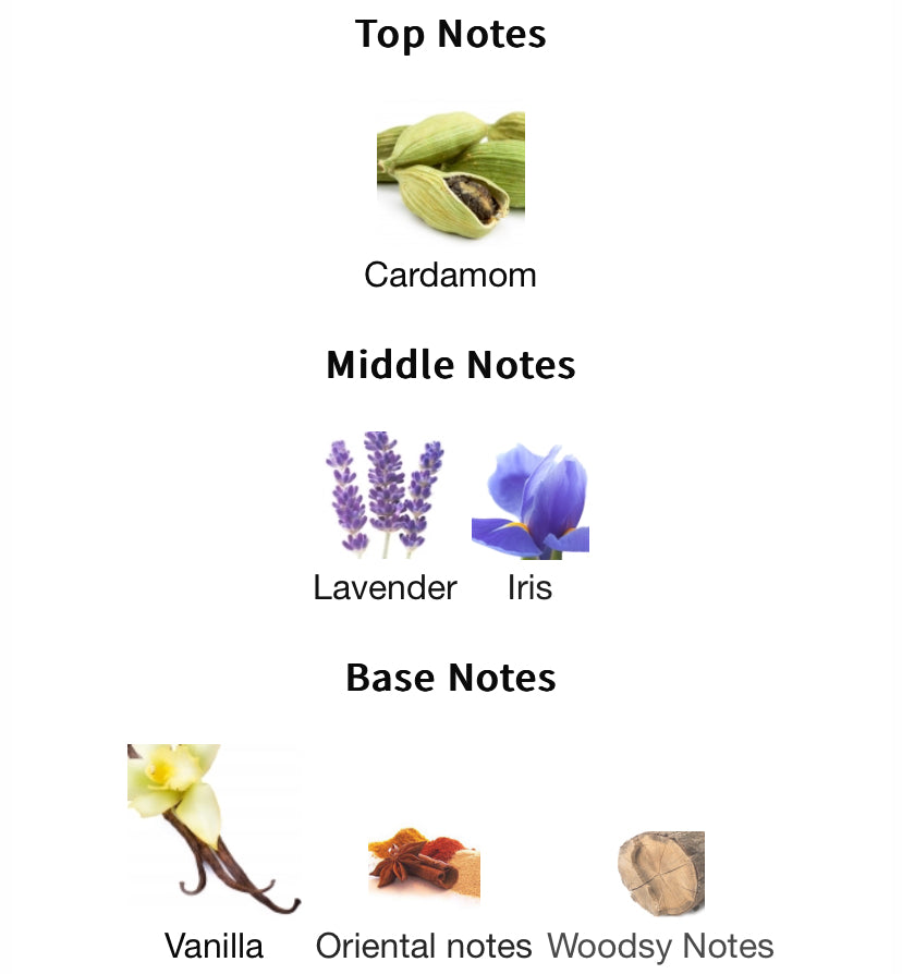 JPG Le Male Le Parfum